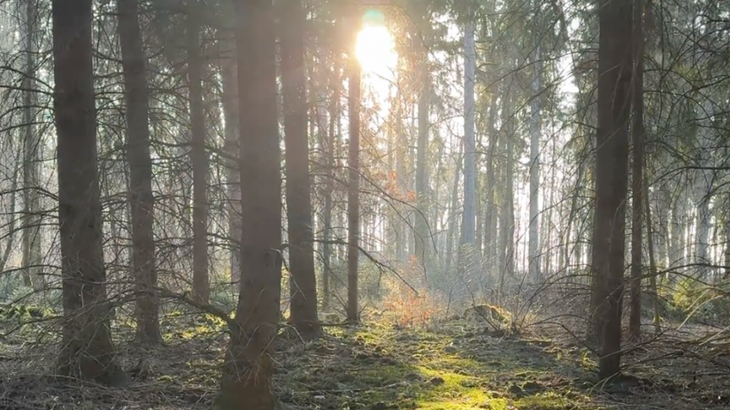 M Squared - Mindfulness & Meditation